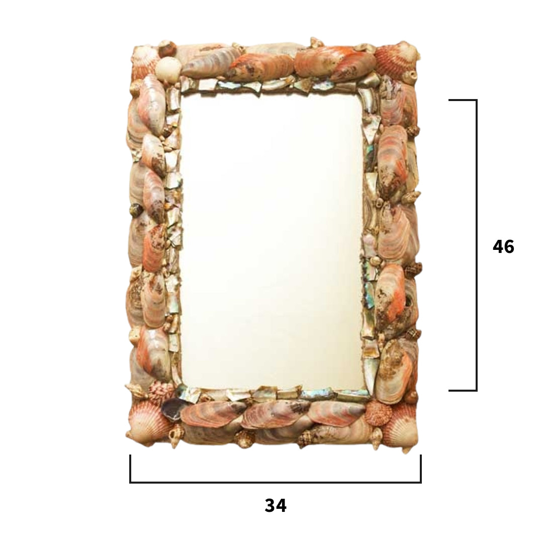 Seashell and Mother of Pearl Encrusted Mirror