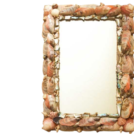 Seashell and Mother of Pearl Encrusted Mirror