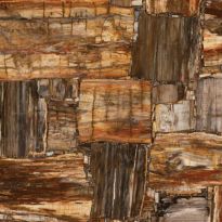 Brown Petrified Wood Retro